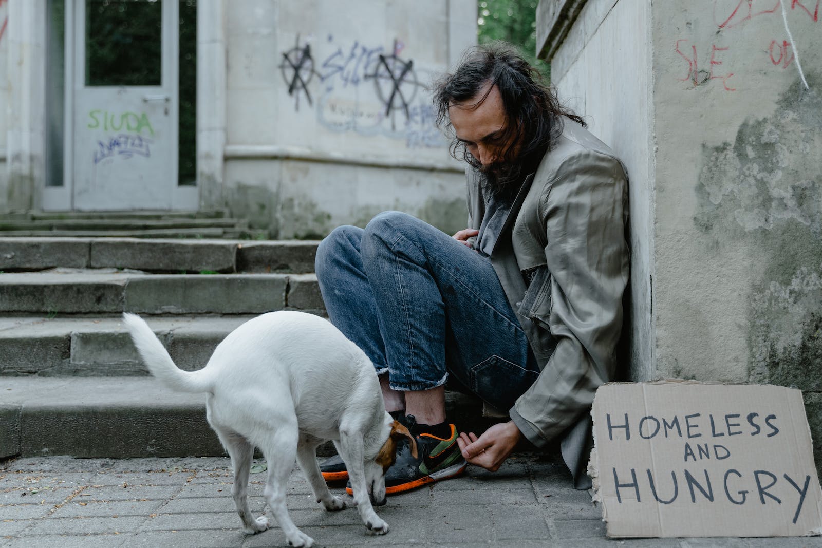 Man in Blue Denim Jeans Sitting Beside White Short Coat Dog